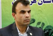 معاون هماهنگی امور اقتصادی و توسعه منطقه‌ای استانداری هرمزگان منصوب شد