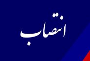 عادل پیغامی مدیرعامل سازمان منطقه آزاد قشم شد