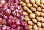 روند صادرات پیاز و سیب‌زمینی از هرمزگان برقرار است