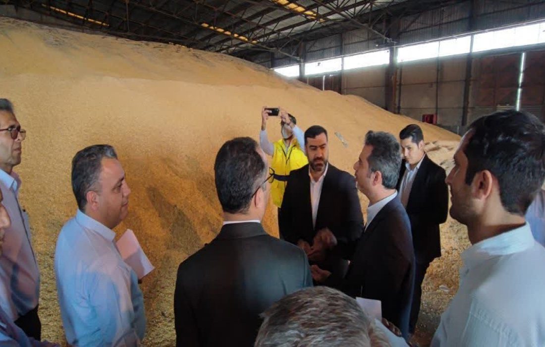 تعیین تکلیف ۱۳۷ هزار تن کالای اساسی دپو شده در بندر شهید رجایی