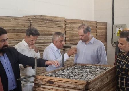 قشم یکی از ظرفیت های مهم شیلاتی کشور است