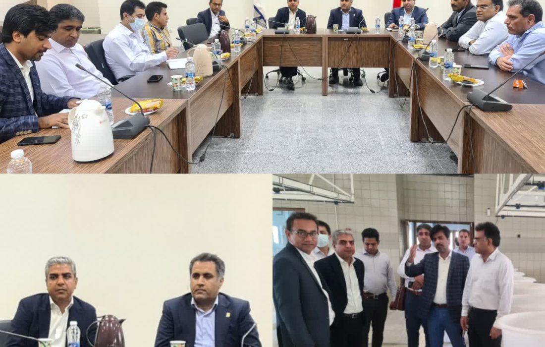 دیدار سرپرست شیلات هرمزگان با رئیس دانشگاه هرمزگان و جمعی از اساتید این دانشگاه