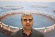 آغاز ذخیره سازی بچه ماهی در قفس شرکت تعاونی امواج خروشان بندرکنگ