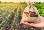اختصاص بیش از ۲۲ هزار میلیارد ریال تسهیلات اشتغال به استان هرمزگان