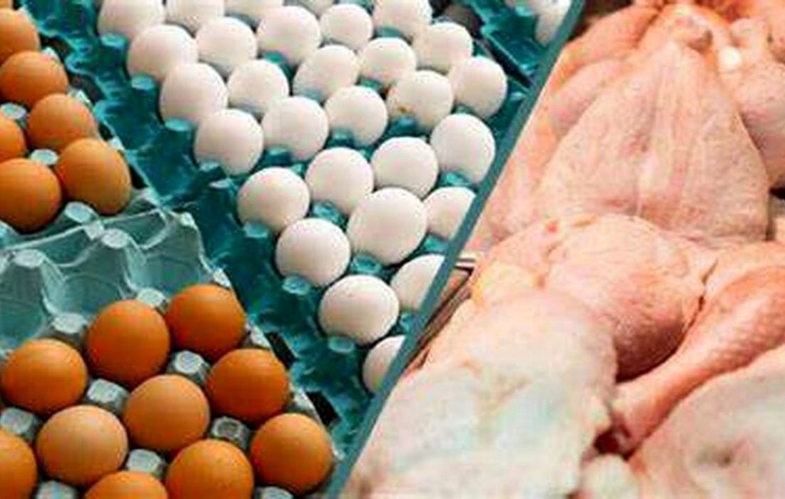 کاهش ۳۰ درصدی قیمت تخم‌مرغ در مرغداری‌ها