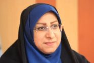 رونمایی از عروسک‌های «دادا و کاکا» در هرمزگان