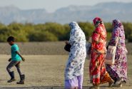 اجرای طرح «سواد سبز» در خانواده سوادآموزی هرمزگان