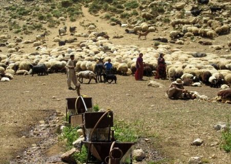 تسهیلات بانکی برای عشایر هرمزگان ۲ برابر شد