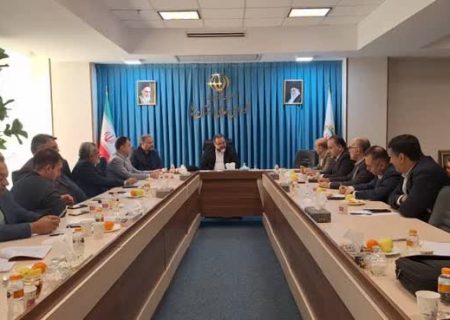 سازمان همیاری شهرداری‌ها، بازوی اجرایی شهرداری‌ها و دهیاری‌ها