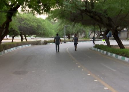 افتتاح پیاده‌راه سلامت در بوستان جنگلی خلیج فارس