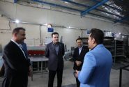 حمایت از صنعتگران، گامی اساسی در مسیر رونق اقتصادی استان