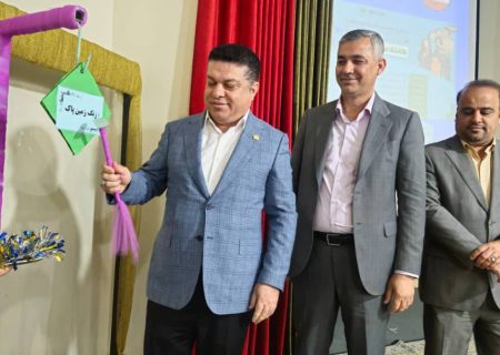 از حفاظت آهوی جبیر تا تولید انرژی پاک