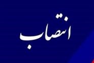 معاون سیاسی، امنیتی و اجتماعی استانداری هرمزگان منصوب شد