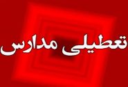 تعطیلی مدارس در برخی روستاهای غرب بندرعباس به دلیل آلودگی ناشی از آتش‌سوزی در بندر شهید رجایی