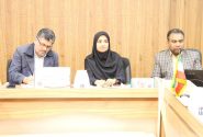 هوش مصنوعی در خدمت توانبخشی: نشست تخصصی مراکز غیردولتی بهزیستی هرمزگان با رویکرد تحول دیجیتال