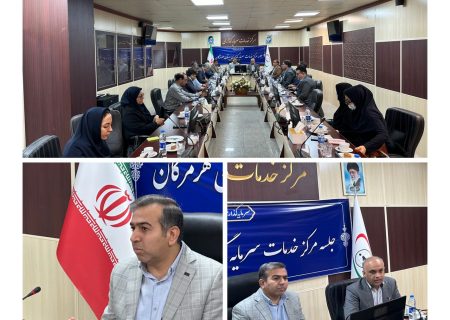 با حضور دسینه نماینده وزیر و مدیرکل امور اقتصادی و دارایی هرمزگان؛ تأکید بر یکپارچگی سامانه‌ها و توانمندسازی نظام مالی