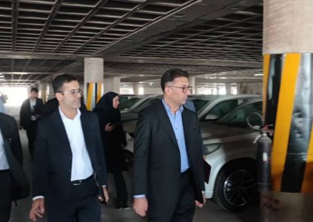 تشکیل کارگروه ویژه جهت ترخیص فوری ۱۴ هزار خودروی خارجی معطل مانده در بنادر و گمرکات استان هرمزگان