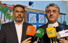 نخل ناخدا، پایلوت زیباسازی محلات بندرعباس شد