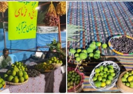 معرفی ظرفیت‌های کشاورزی و فرهنگی جنوب کشور
