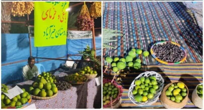 معرفی ظرفیت‌های کشاورزی و فرهنگی جنوب کشور