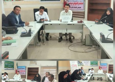 گامی بلند برای دسترسی معلولان در اماکن عمومی