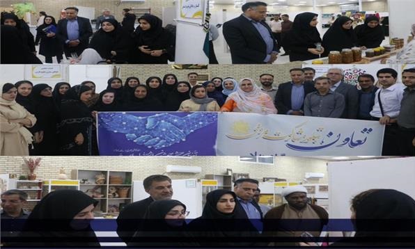 هرمزگان در مسیر توسعه:نمایشگاه مشاغل خانگی سکوی پرتاب کارآفرینان به سوی بازارهای جهانی