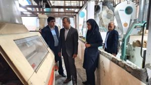 سرمایهگذاری ۶۶۰ میلیارد تومانی برای تحقق خودکفایی غذایی در هرمزگان 1 f88bcb0e3d0a475aa523a40d3c4235a8