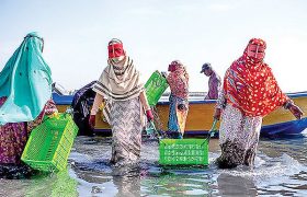 استاندار به تضییع حقوق صیادان هرمزگانی در آستانه انتخابات اتحادیه صیادی ورود کند