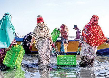 استاندار به تضییع حقوق صیادان هرمزگانی در آستانه انتخابات اتحادیه صیادی ورود کند