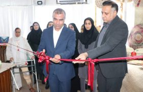 رونمایی از طرح ملی «هزار میدان، هزار بازار» در هرمزگان ؛ تجلی اقتصاد مقاومتی با افتتاح ۱۶۸ غرفه مشاغل خانگی