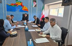 مدیرکل ورزش و جوانان هرمزگان: تکواندو نیازمند استعدادیابی و تقویت زیرساخت‌هاست