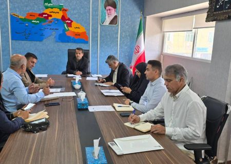 مدیرکل ورزش و جوانان هرمزگان: تکواندو نیازمند استعدادیابی و تقویت زیرساخت‌هاست