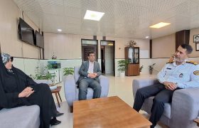 واردات خودرو از مناطق آزاد، مطالبه به‌حق مردم هرمزگان است/ نباید اجازه شکل‌گیری مافیای جدید را داد
