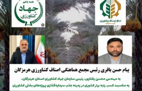 کسب رتبه نخست سرمایه‌گذاری بخش کشاورزی هرمزگان، نشان‌دهنده مدیریت مدبرانه و تلاش‌های جهادی در شرایط جنگ است/ ۱۴.۵ همت سرمایه‌گذاری و ۳۲ پروژه بهره‌برداری شده
