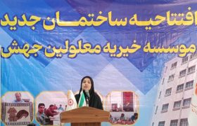 جهش در مسیر توانمندسازی افراد دارای معلولیت در هرمزگان؛ تأکید بر توسعه مراکز حرفه‌آموزی با مشارکت خیرین